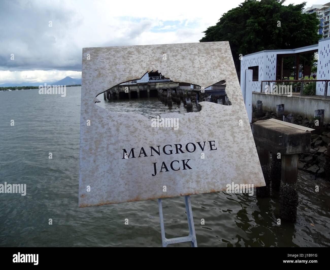 Silhouette of fish species Mangrove Jack Stock Photo