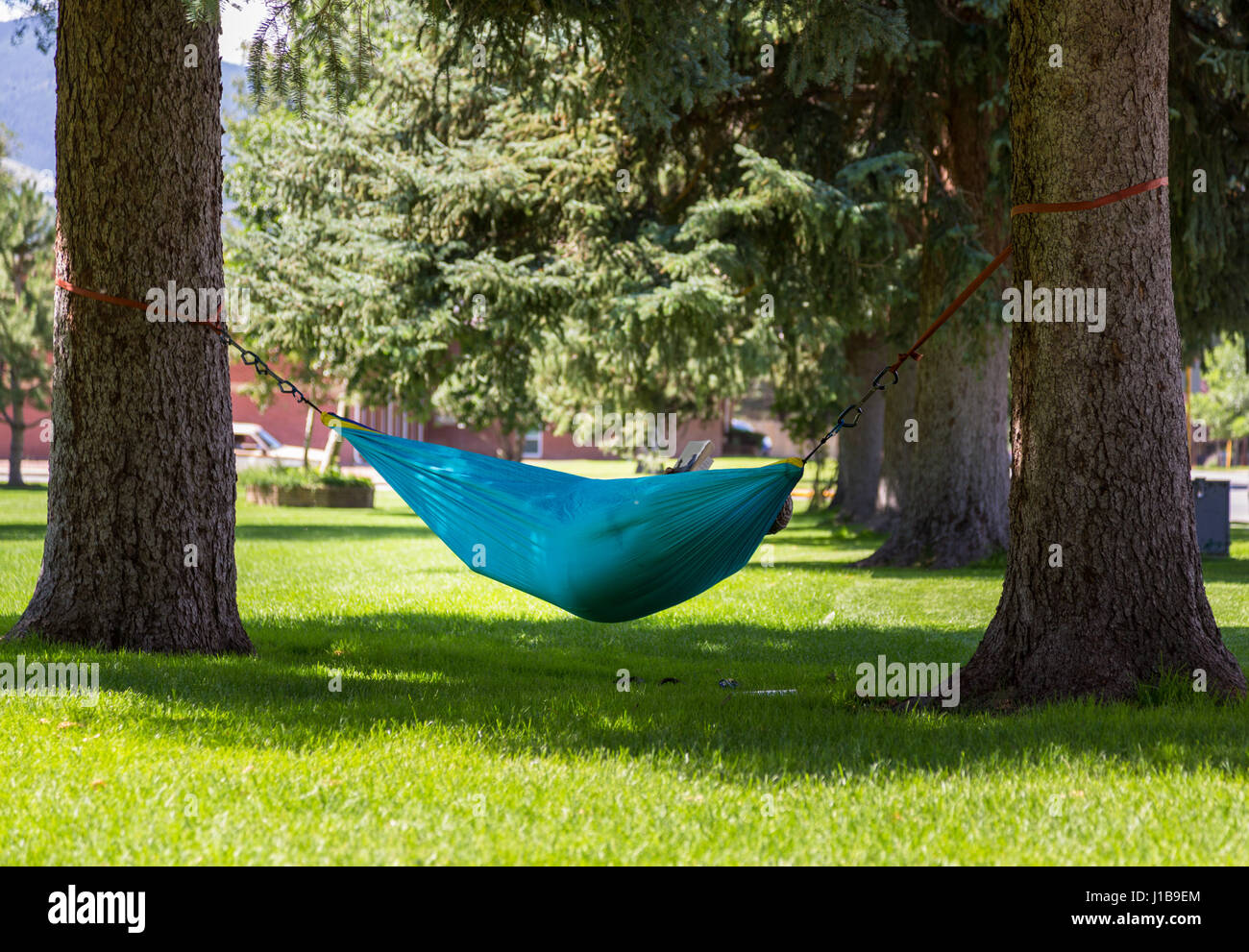 Large person relaxing reading in a hammock in a city park in Colorado, USA in summer Stock Photo