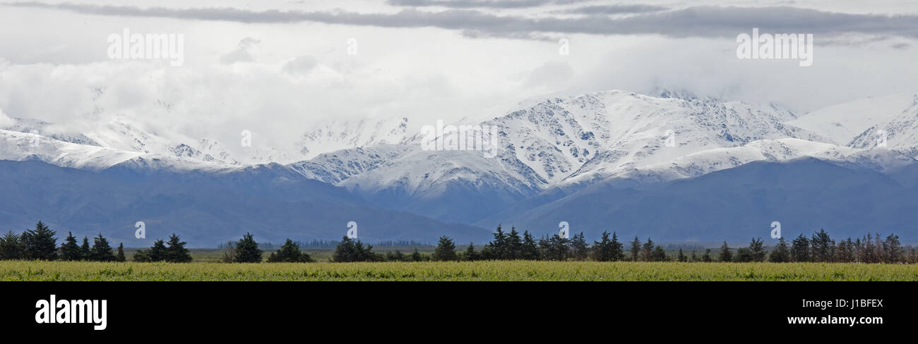 Andes & Vineyard, Uco Valley, Mendoza, Argentina Stock Photo