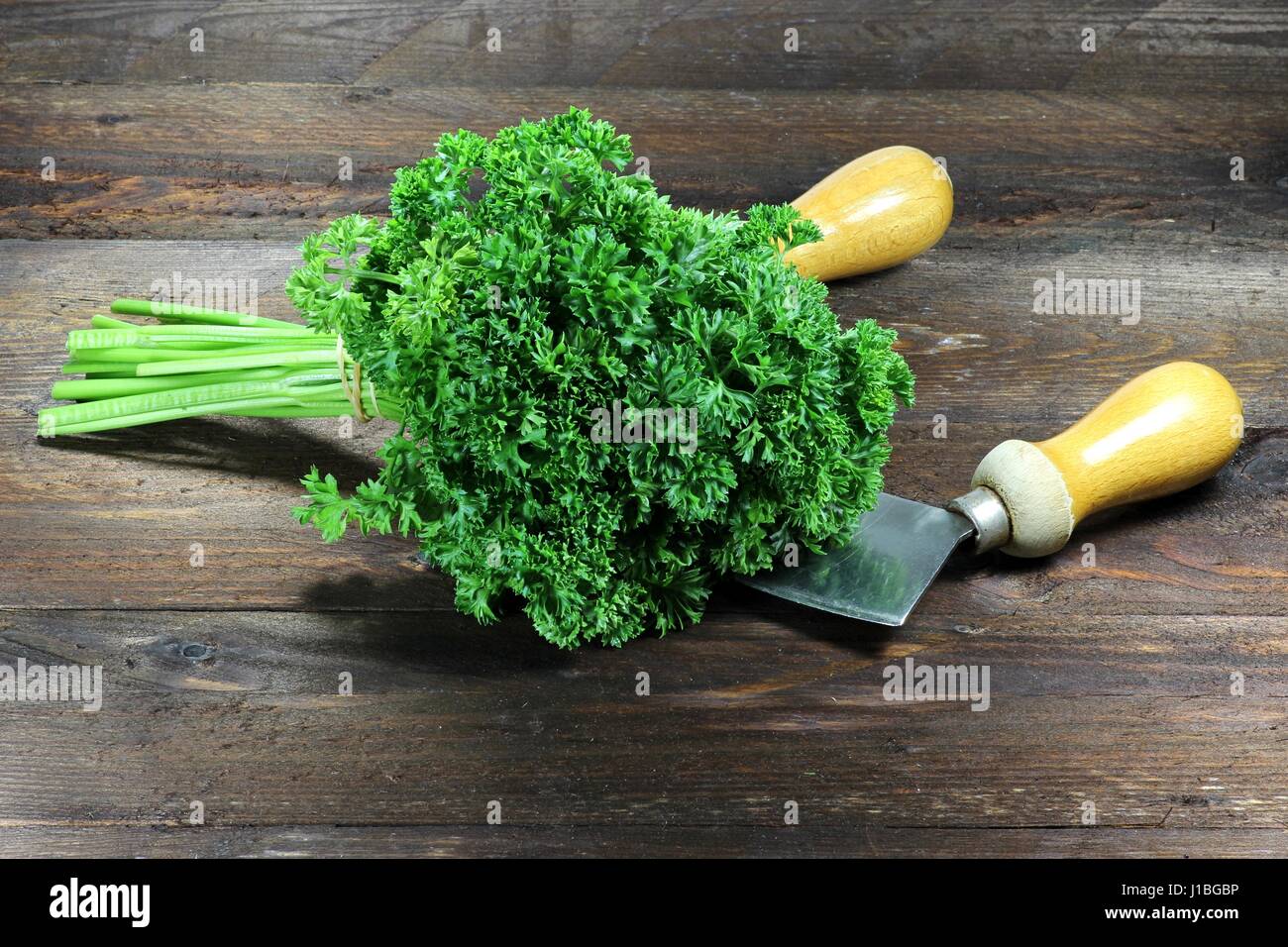 Herb Chopper And Fresh Parsley Stock Photo - Download Image Now - Chopping  Food, Close-up, Cut Out - iStock