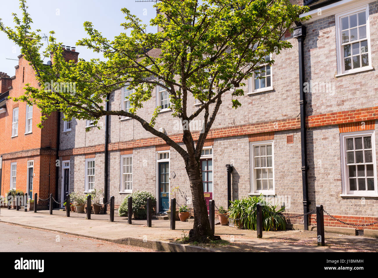 Classic British street with restored Victorian brick houses on a local road with tree growing on the pavement Stock Photo