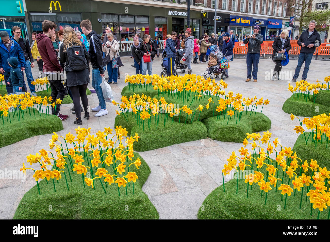 Display of Lego Daffodils in Hull City of Culture 2017 Stock Photo