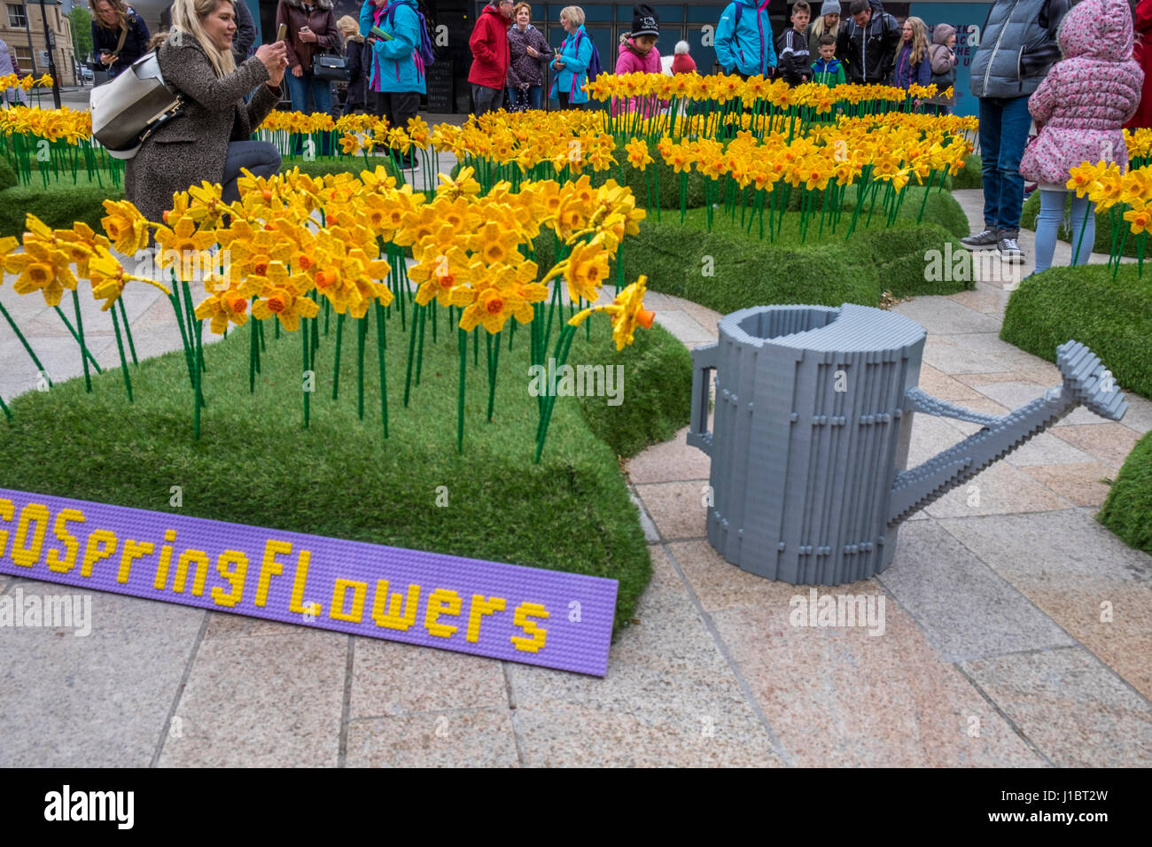 Display of Lego Daffodils in Hull City of Culture 2017 Stock Photo