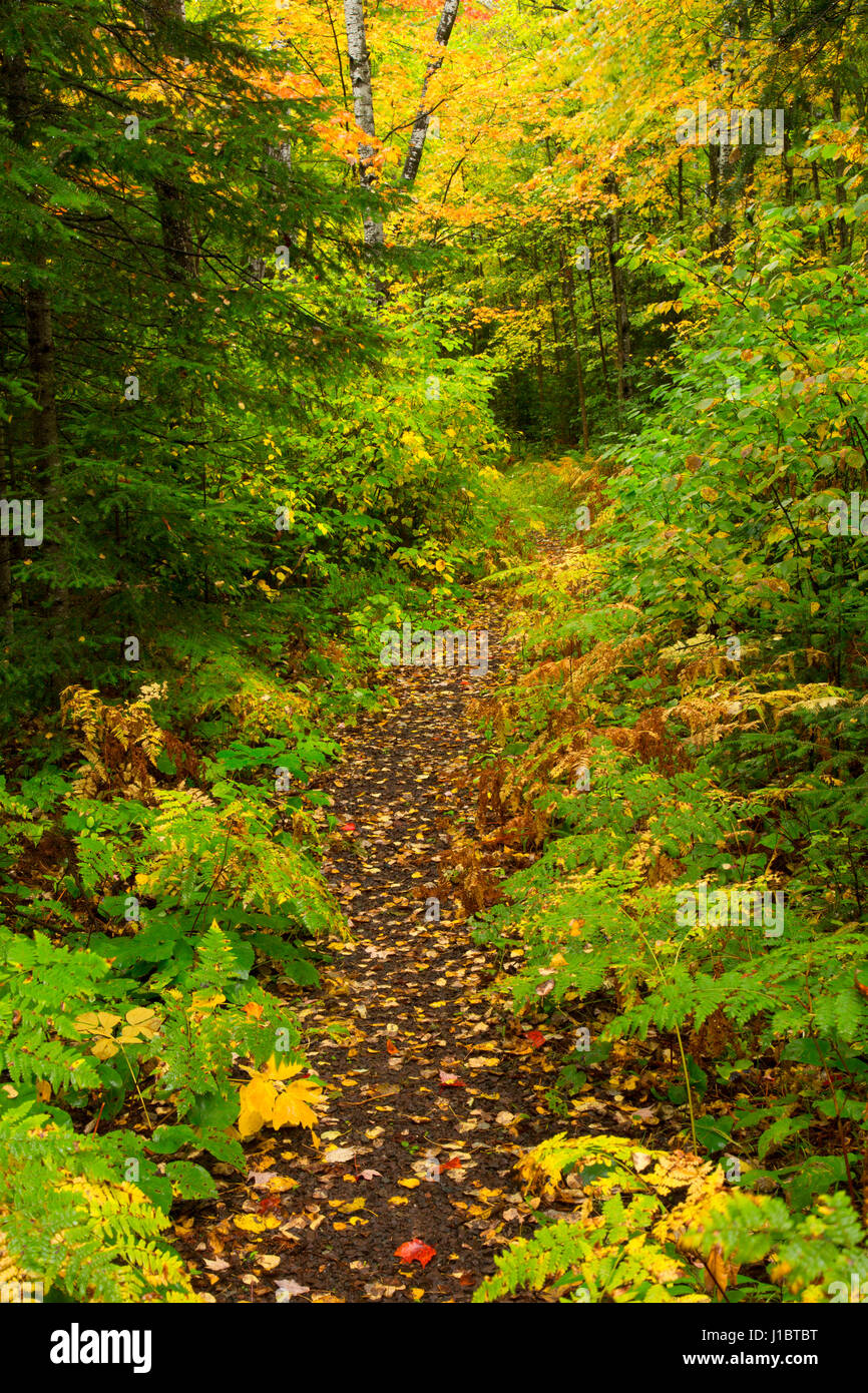 Brule wisconsin hires stock photography and images Alamy