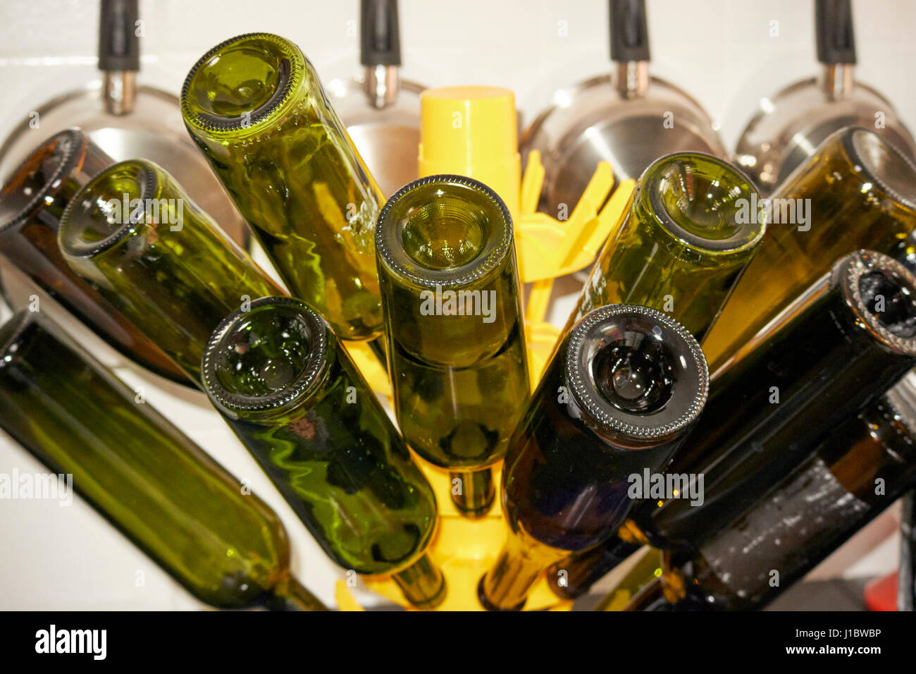used wine bottles drying on a bottle tree for home wine production Stock Photo
