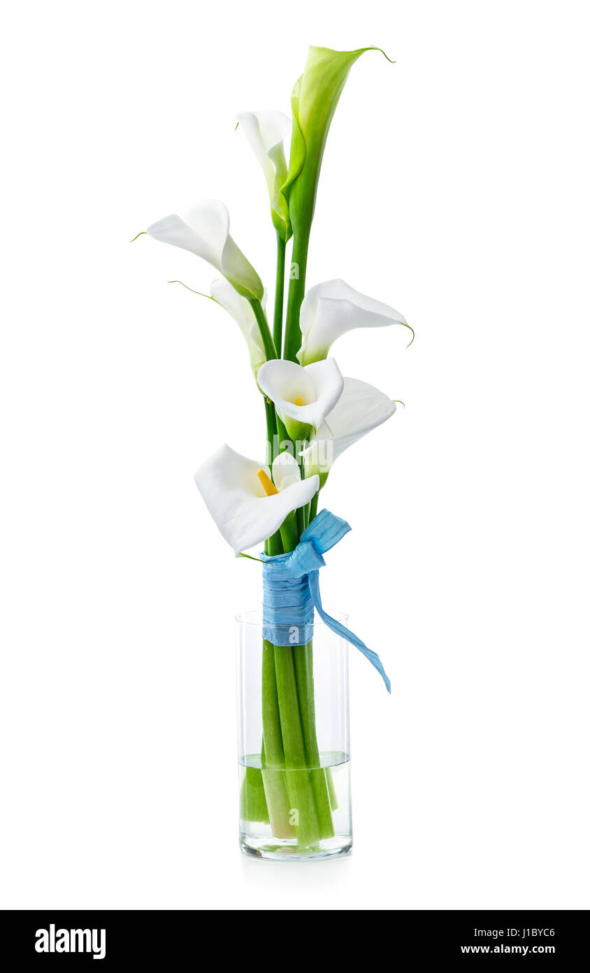Bouquet of white calla lilies in glass vase over white background Stock ...