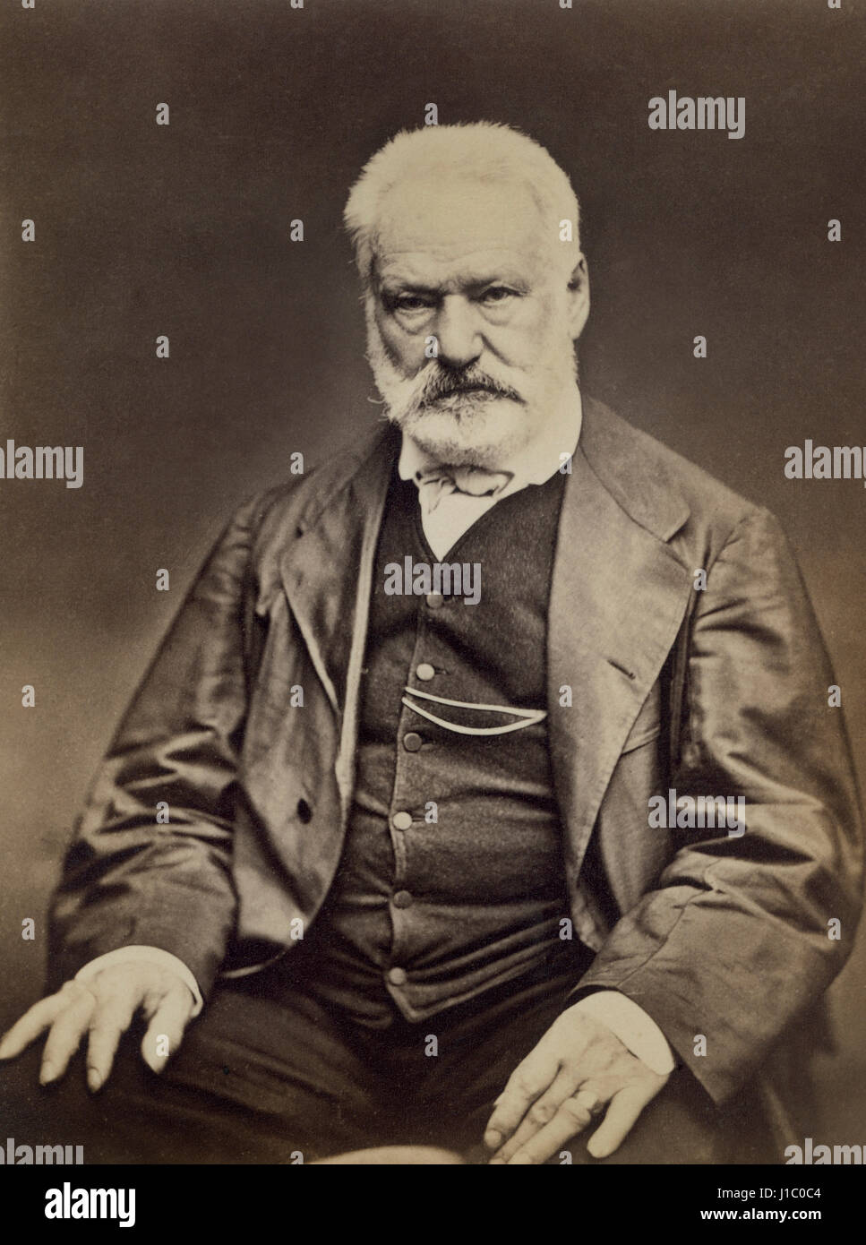 Victor Hugo (1802-85), French Poet, Novelist and Dramatist, Portrait by Étienne Carjat, 1876 Stock Photo
