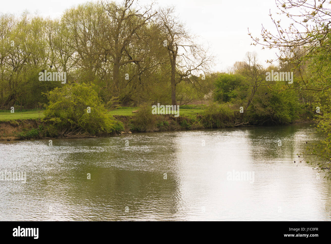 Thames River, Wallingford in Oxfordshire, UK, 2017 Stock Photo