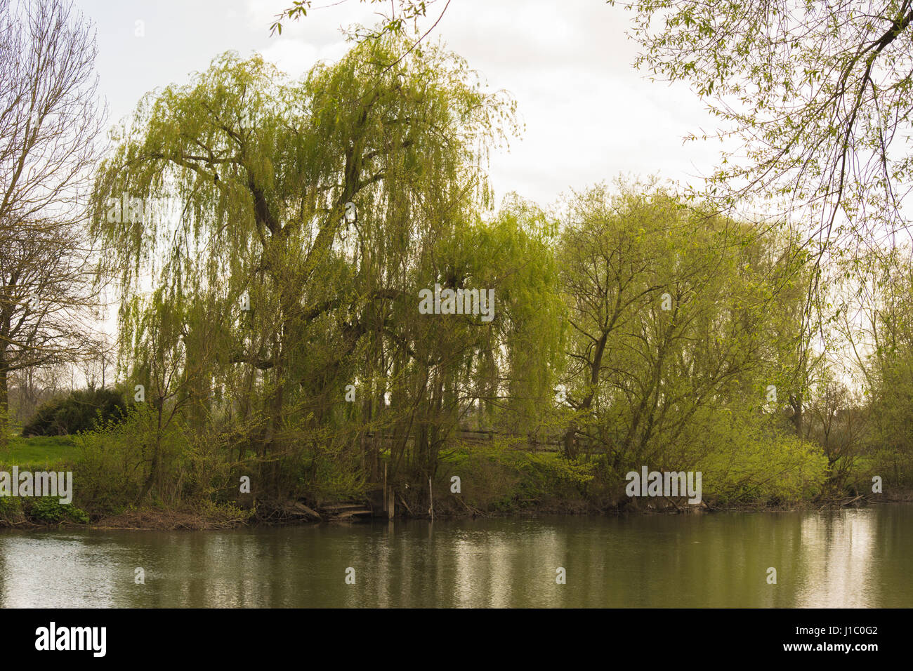 Thames River, Wallingford in Oxfordshire, UK, 2017 Stock Photo