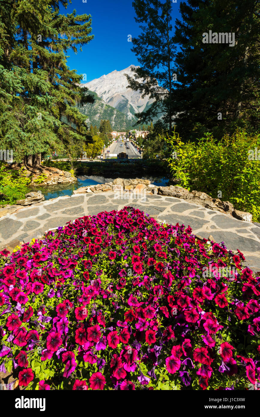 Flowers above Banff Avenue from the Administration Building, Banff