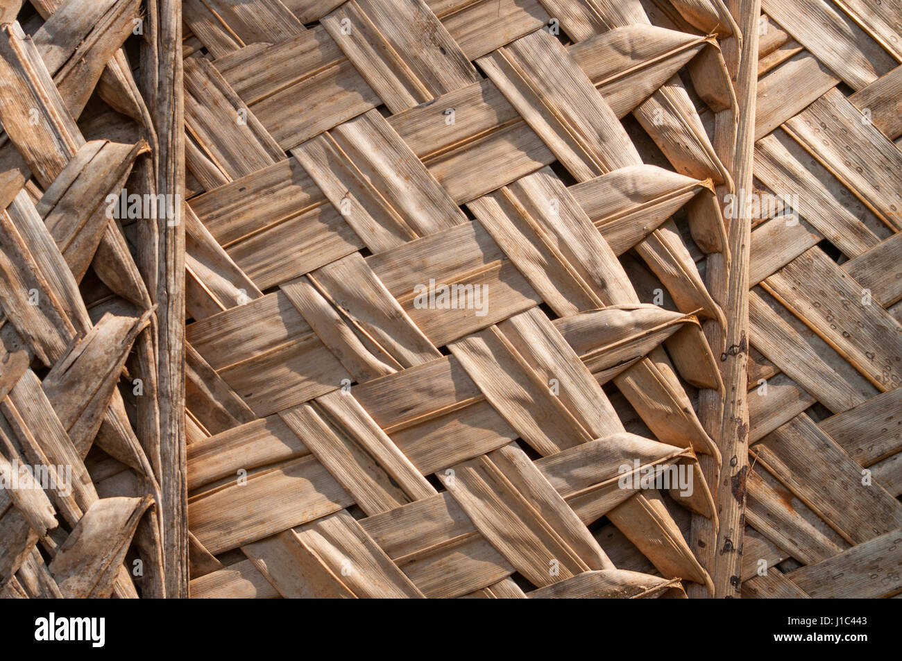 Primitive thatch of palm leaves in hot countries, twiggen wall or ceiling Stock Photo