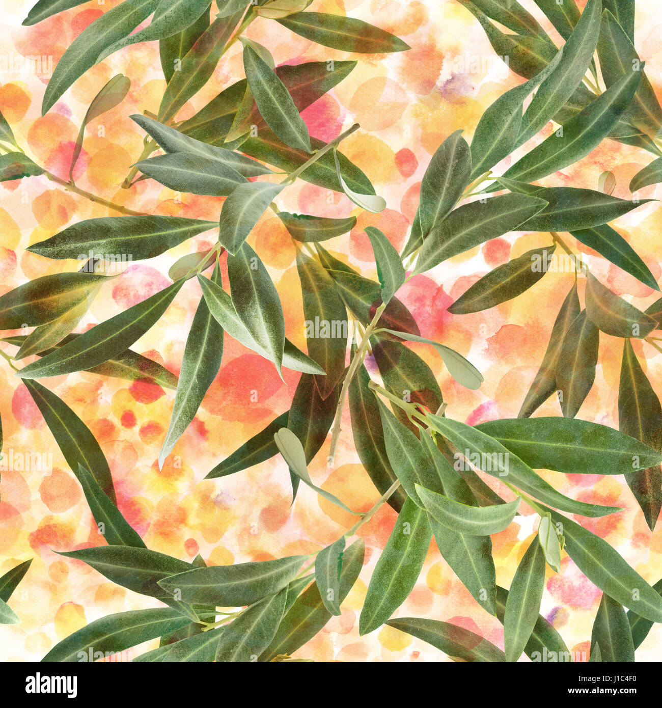 Seamless pattern of olive tree branches on watercolor texture Stock ...