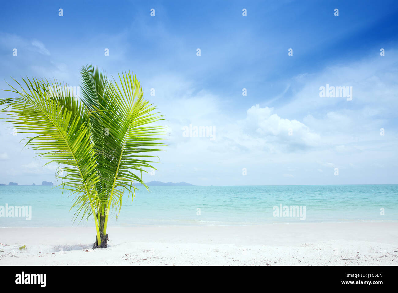 Tropic site hi-res stock photography and images - Alamy