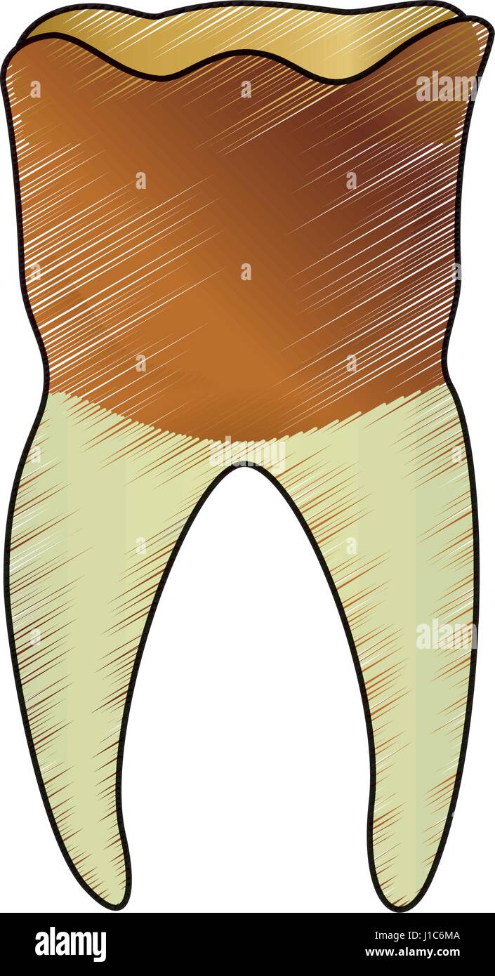 Medical dental care Stock Vector Image & Art - Alamy