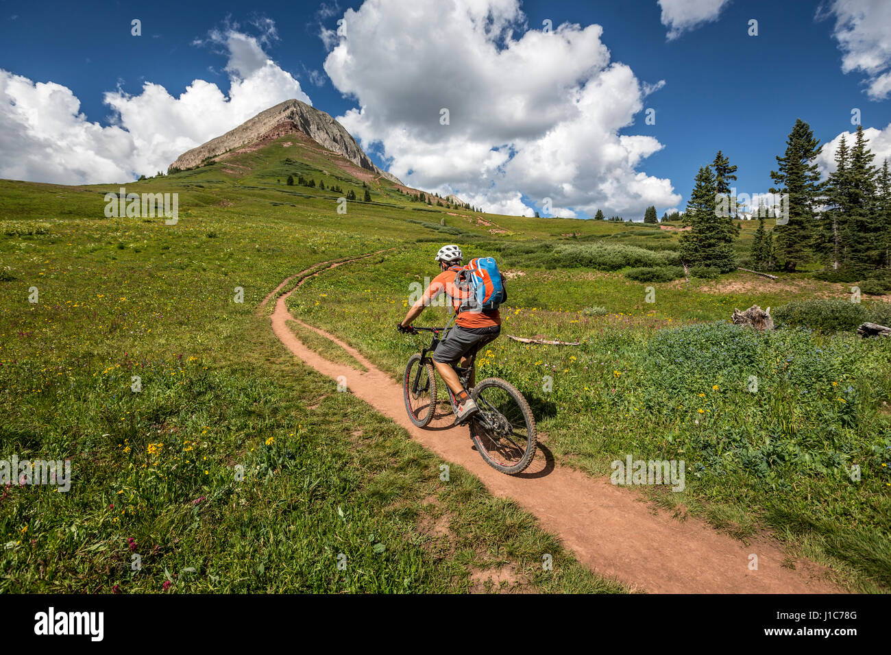Eric Odenthal mountain biking up the Pass trail towards Engineer Mountain, Colorado. Stock Photo