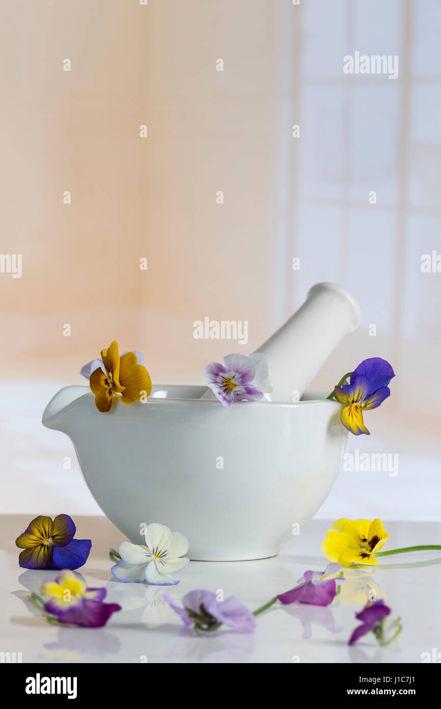 group of nice pansy multicolored ceramic mortar Stock Photo