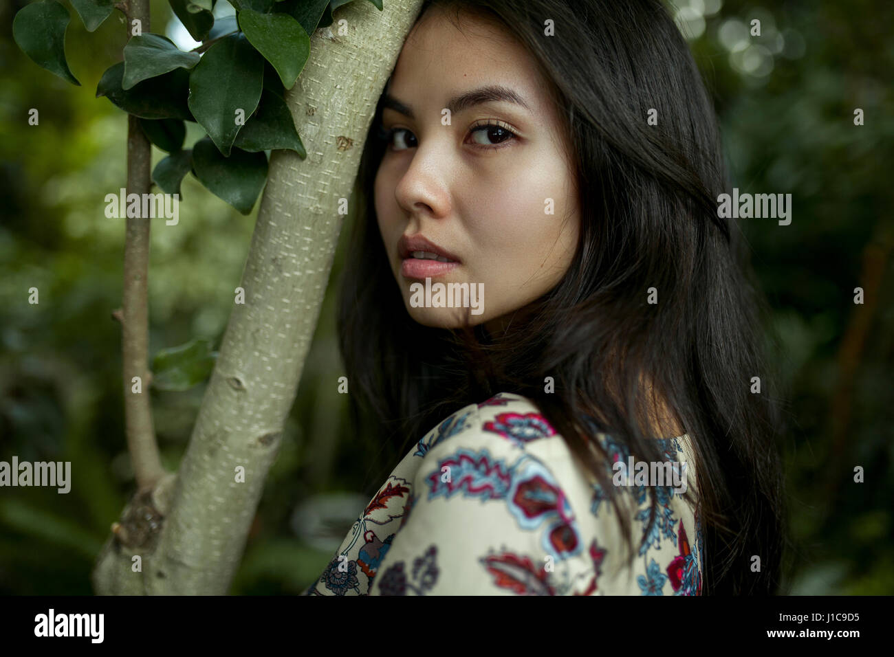 Portrait of Asian woman leaning forehead on tree branch Stock Photo - Alamy