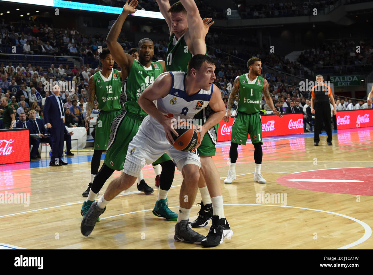 Jonas Maciulis (center) #8 of Real Madrid in action during the Euroleague basketball first quarter-final match between Real Madrid and Darussafaka Dogus at WiZink center in Madrid. (Photo by: Jorge Sanz/Pacific Press) Stock Photo