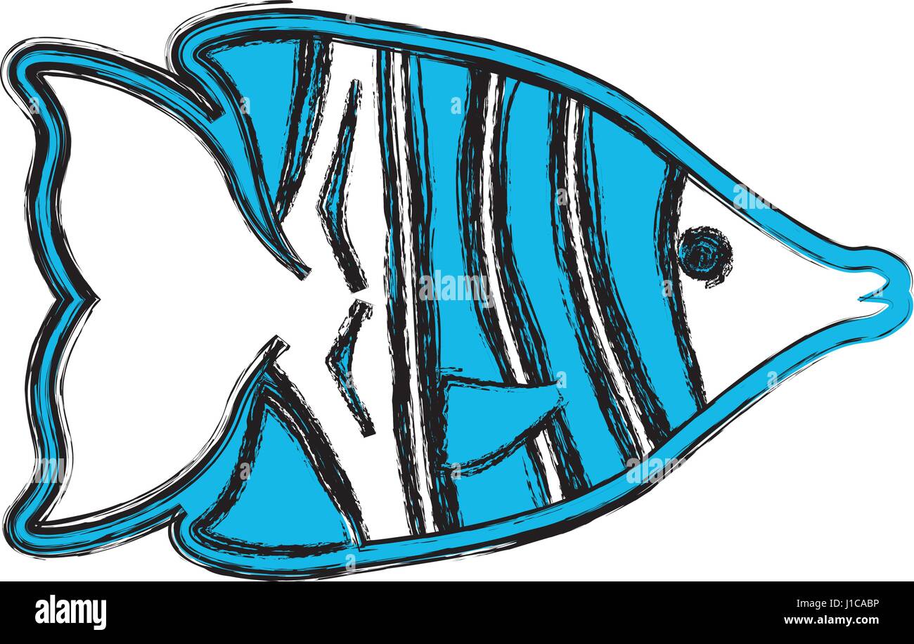 Fish sea animal symbol Stock Vector Image & Art - Alamy
