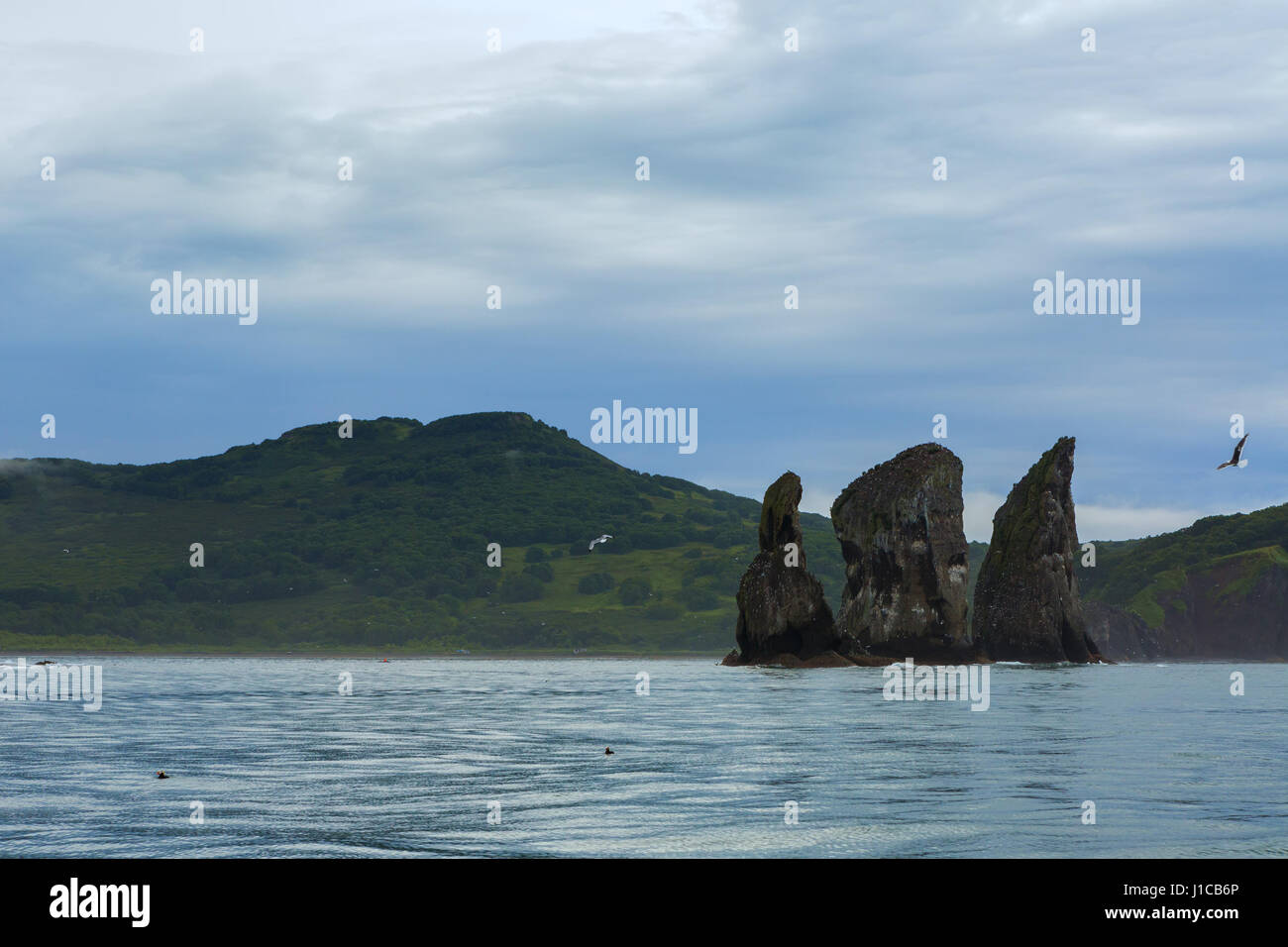 Three Brothers Rocks in the Avacha Bay of Pacific Ocean. Coast of ...