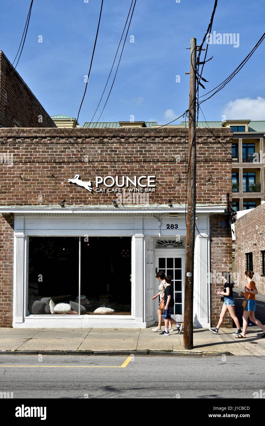 Charleston — Pounce Cat Cafe