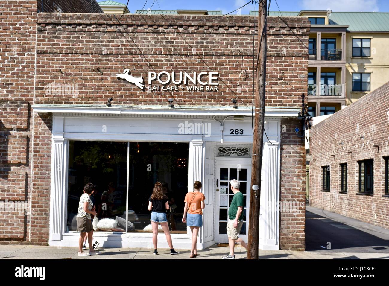 Pounce cat cafe and wine bar Charleston, South Carolina Stock Photo