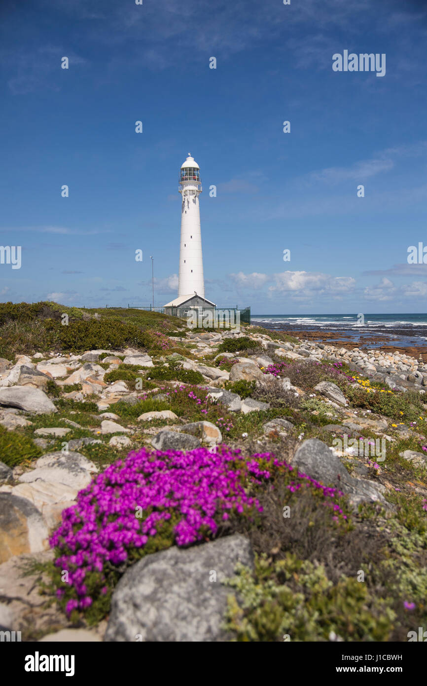 Lighthouse, Slangkop, Table Mountain National Park, Cape Peninsula, South Africa Stock Photo