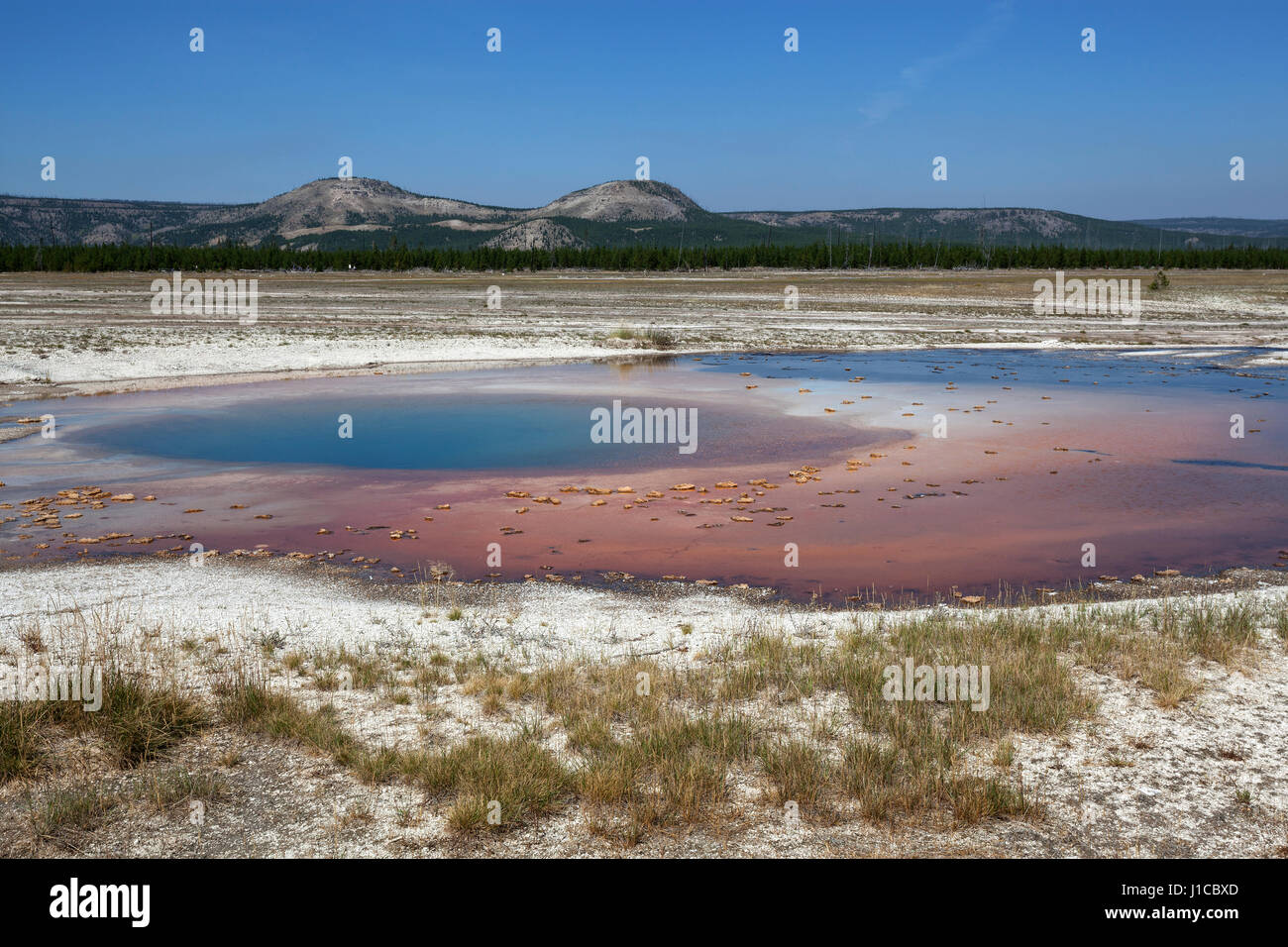 Opal Pool, Midway Geyser Basin, Yellowstone National Park, Wyoming, USA Stock Photo