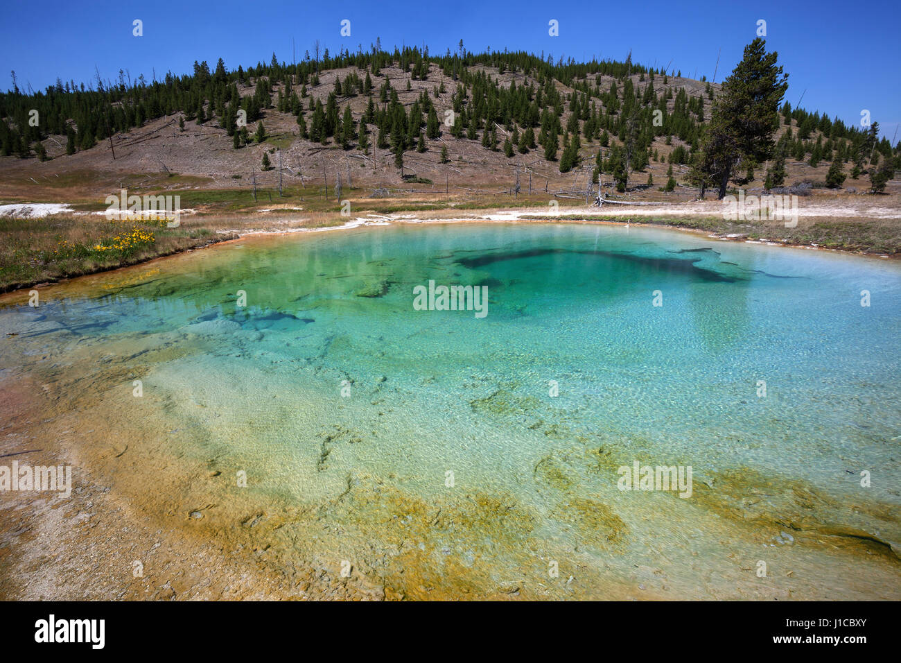 Hot spring, Midway Geyser Basin, Yellowstone National Park, Wyoming, USA Stock Photo