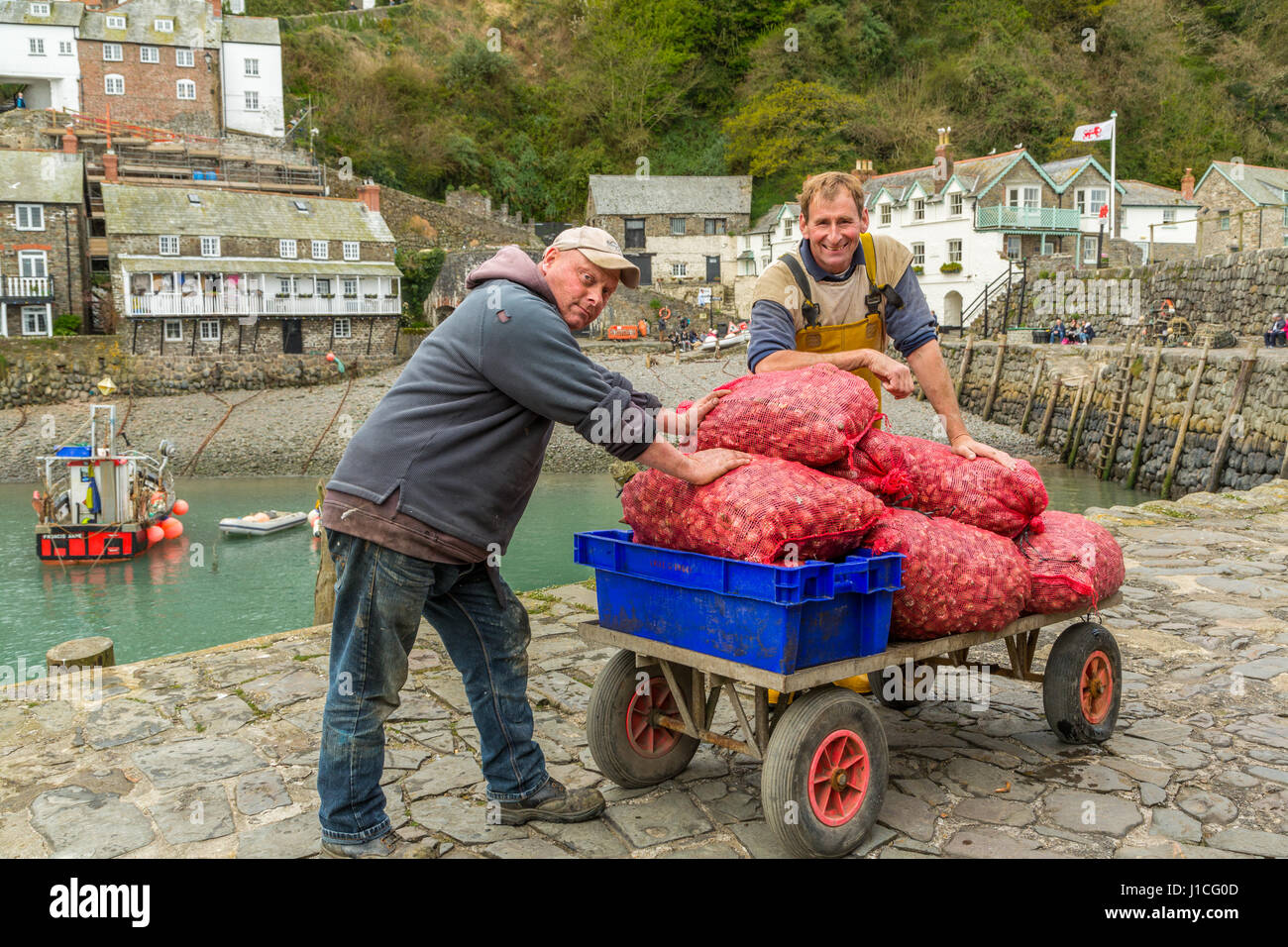 Clovelly,Devon,England. Professional Fishermen unload whelks the catch of the day in the sheltered harbour of this picturesque village in the UK Stock Photo