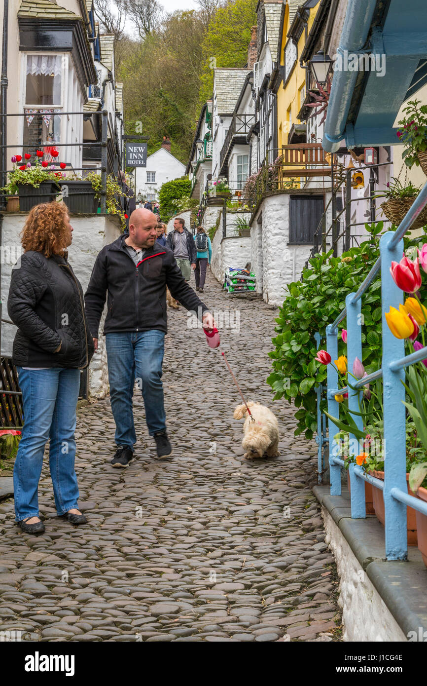 Clovelly,North Devon,England,UK. A couple walking small dog enjoy the steep and picturesque cottages on a cobbled high street of this secluded village Stock Photo