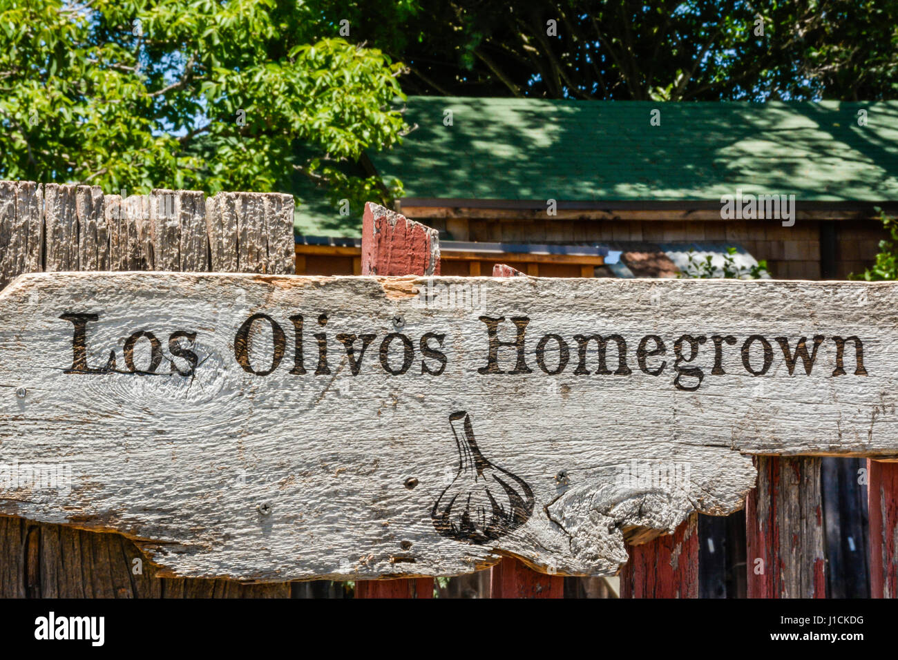 A handmade wooden sign at a roadside stand 'Los Olivos Homegrown' belongs to the famous Garlic Man of Los Olivos, California, a local favorite vendor Stock Photo