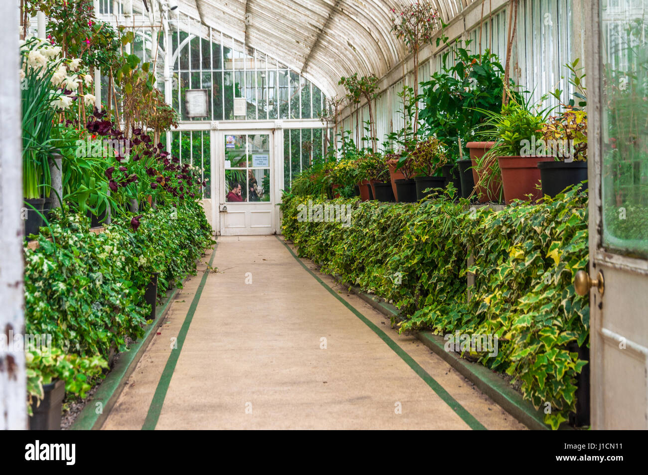 Palmhouse botanic gardens belfast hi-res stock photography and images ...