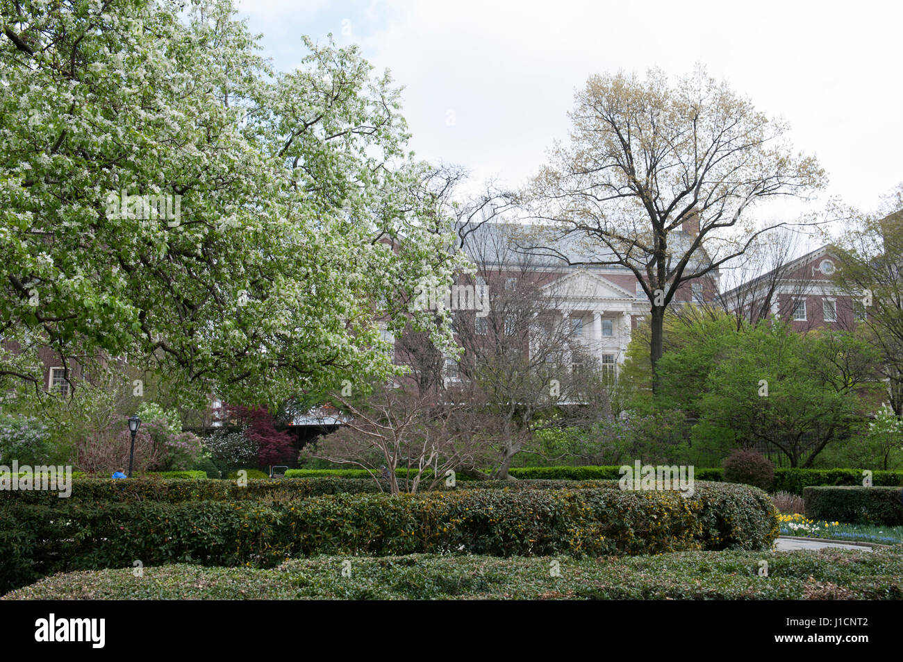 Central park museum hires stock photography and images Alamy