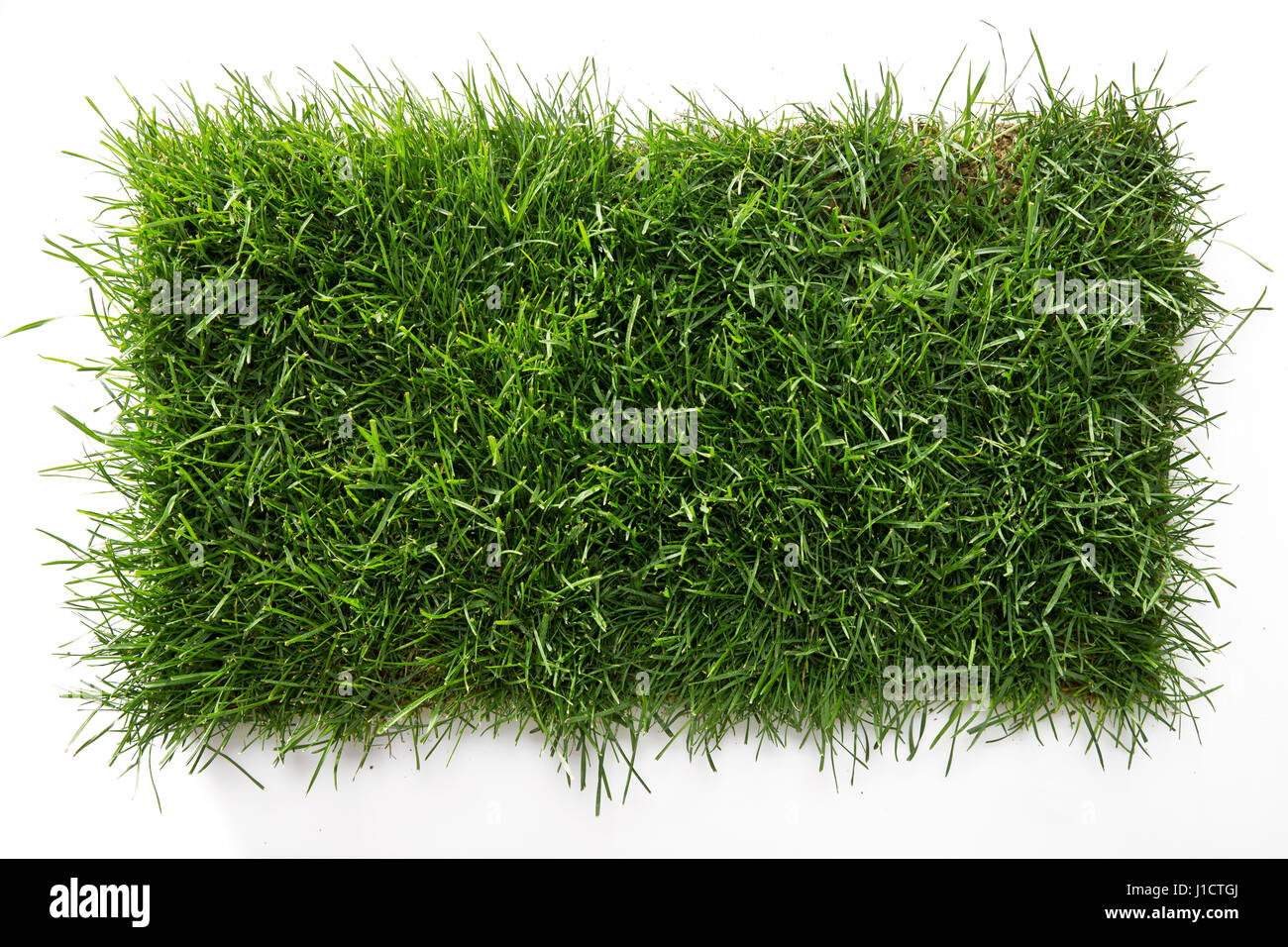 Green turf Stock Photo