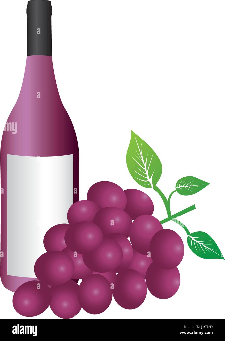 colorful silhouette with bottle of red wine and bunch of grapes Stock