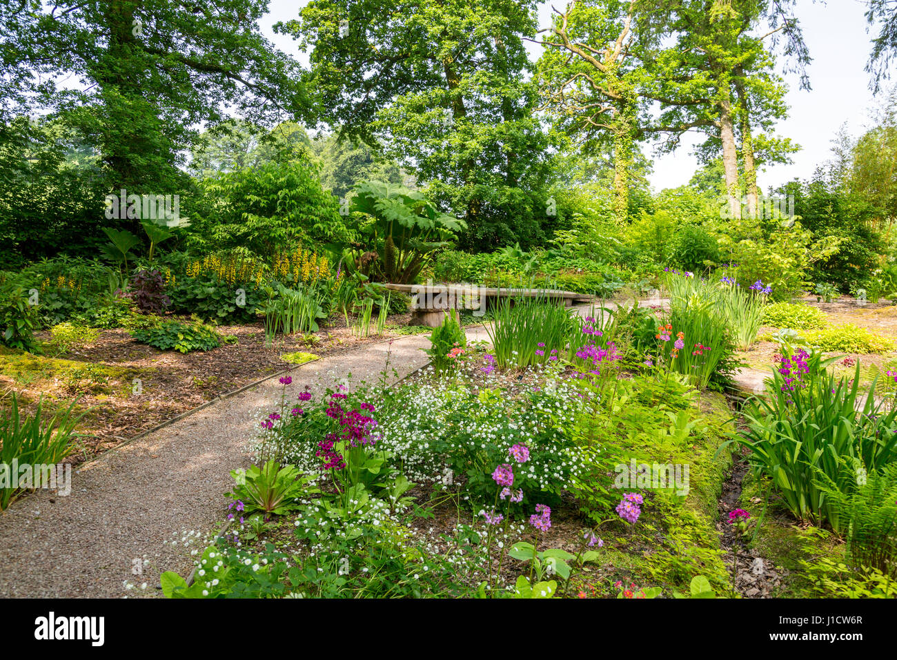 The colourful Woodland Garden at Aberglasney House and Gardens,Llangathen, Carmarthenshire, Wales, UK Stock Photo