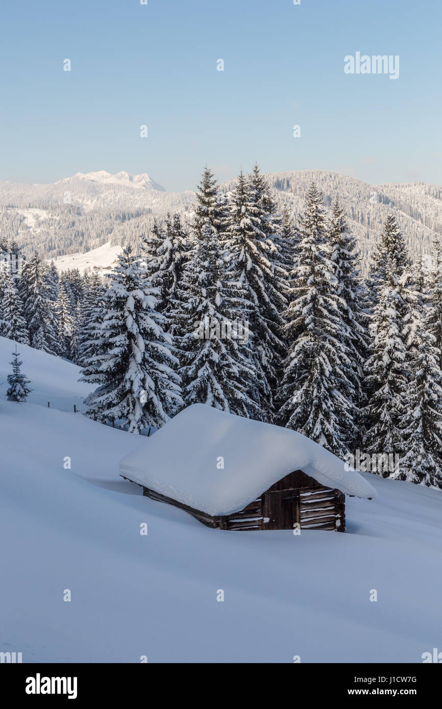 Log cabin in a snow covered landscape in the Austrian Alps Stock Photo