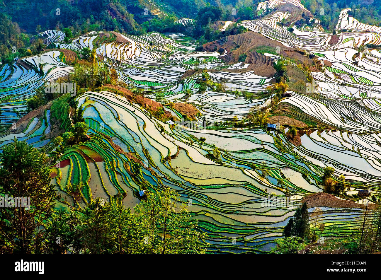 Yuanyang terrace of Honghe County,Yunnan Province,China Stock Photo Alamy