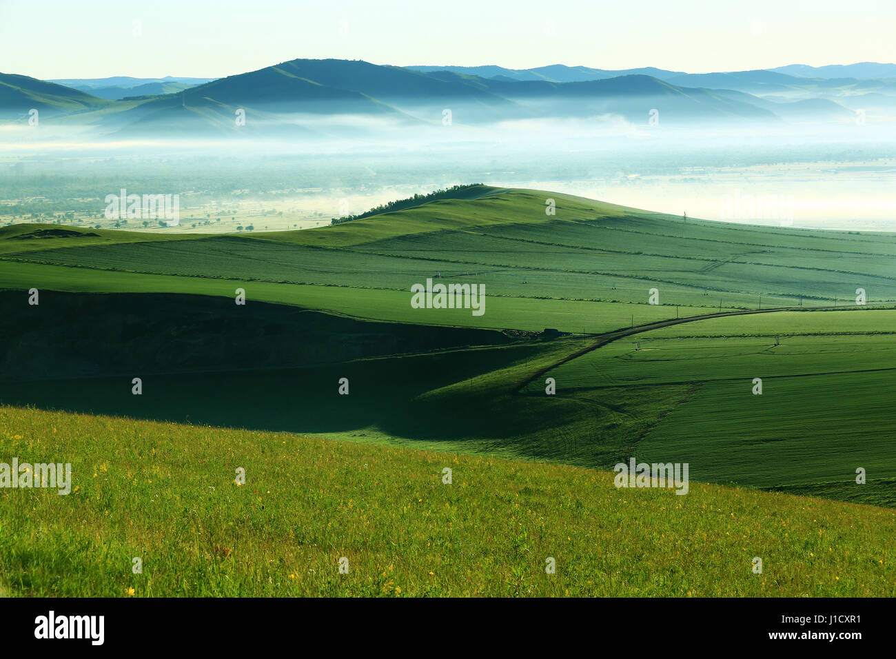 Hulun Buir Grassland scenery in Inner Mongolia Stock Photo - Alamy