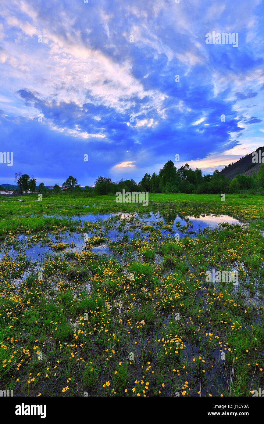 Hulun Buir Grassland scenery in Inner Mongolia Stock Photo - Alamy