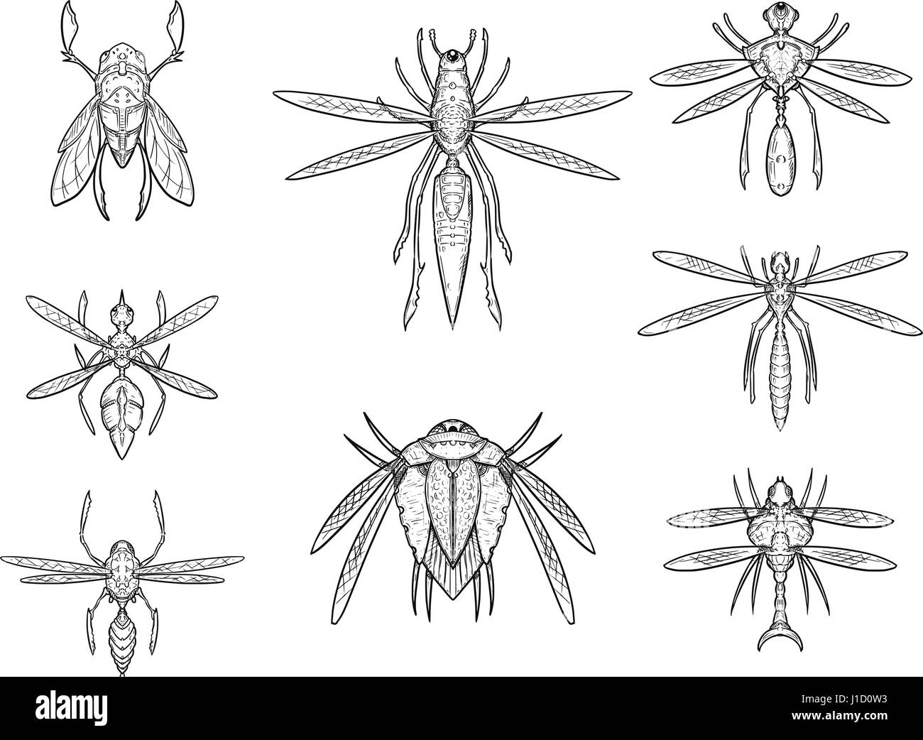 Set of eight cartoon vector hand drawn alien sci-fi insect designs in top down view Stock Vector