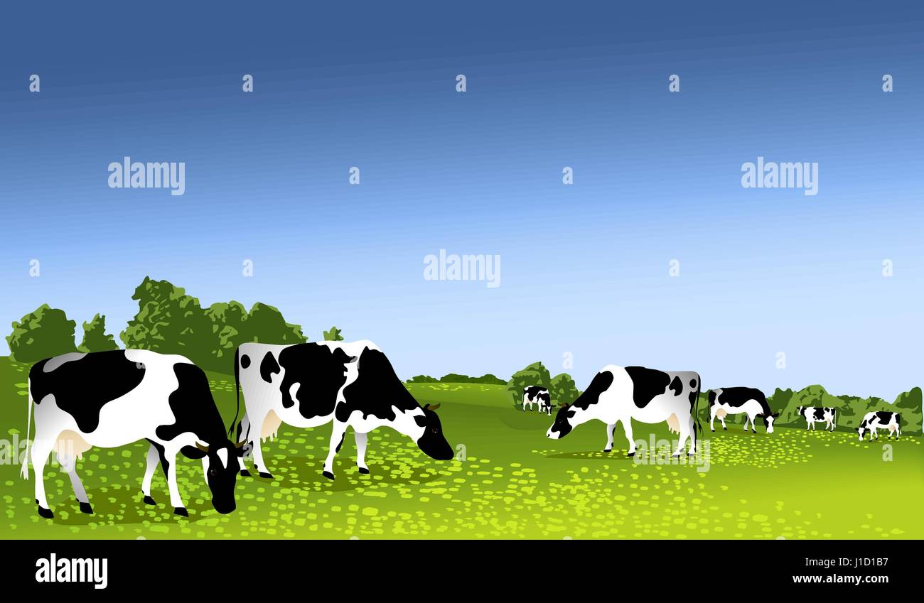Herd of cows at green field Stock Vector Image & Art - Alamy