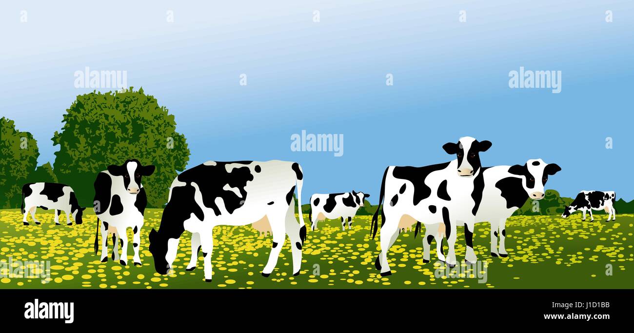 Herd of cows at green field Stock Vector Image & Art - Alamy