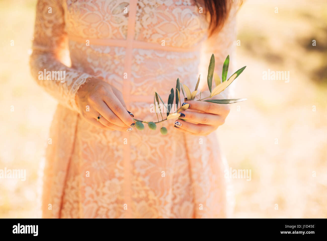 Hand holding olive branch hi-res stock photography and images - Alamy