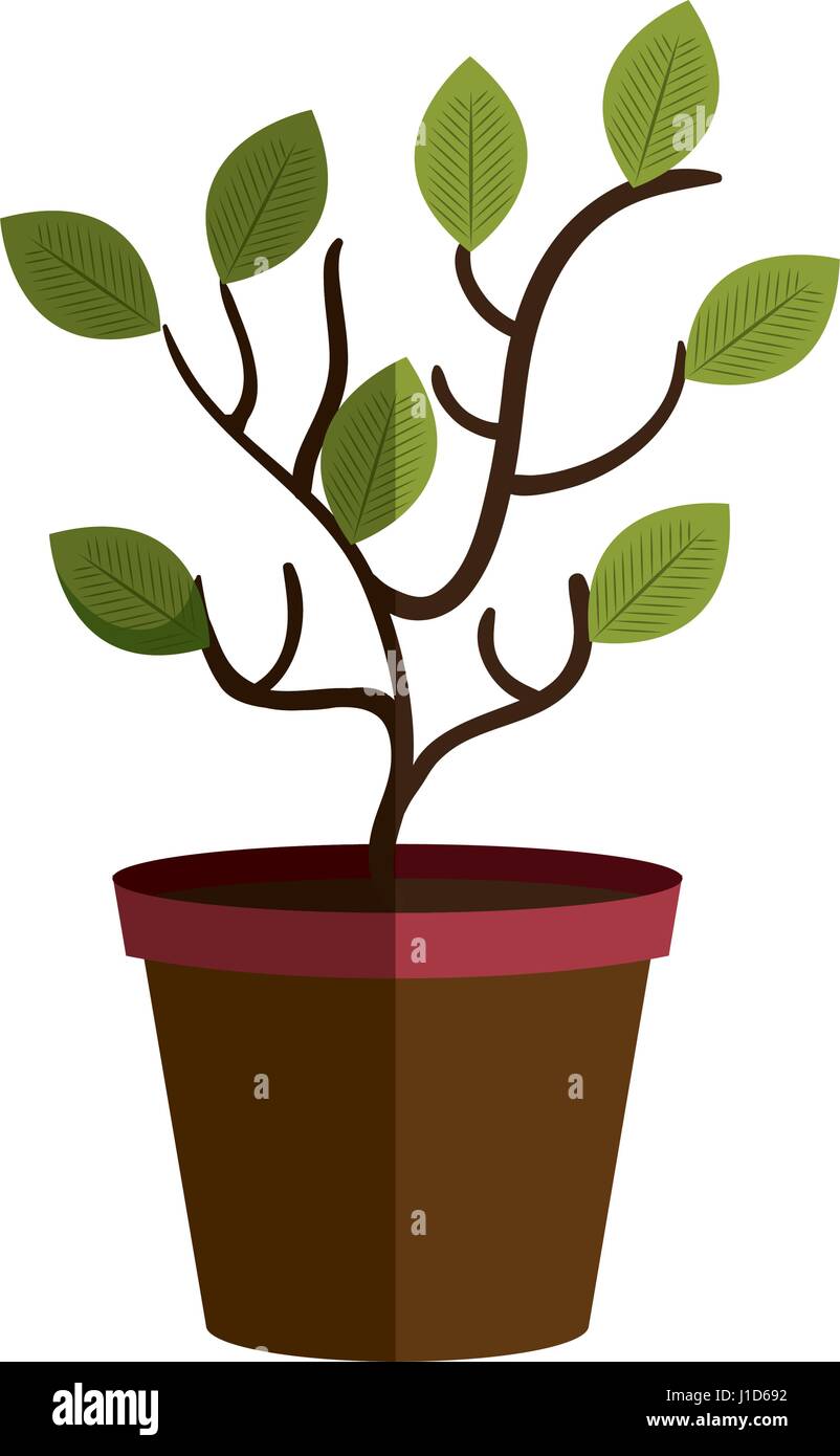 tree plant in pot Stock Vector Image & Art - Alamy
