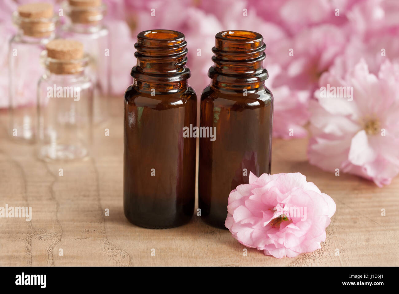 Two bottles of essential oil, with pink japanese cherry blossoms in the