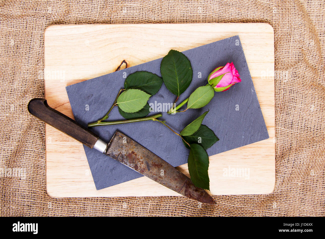 Single rose cut up on piece of slate Stock Photo - Alamy