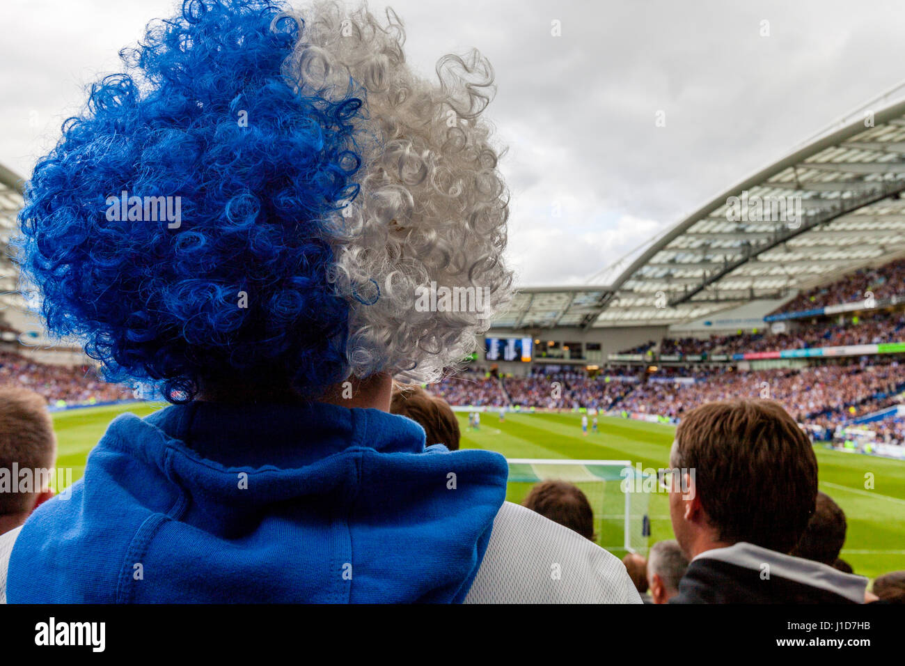 Brighton and Hove Albion Supporters Watch Their Team Play At Home At The Amex Stadium, Brighton, Sussex, UK Stock Photo