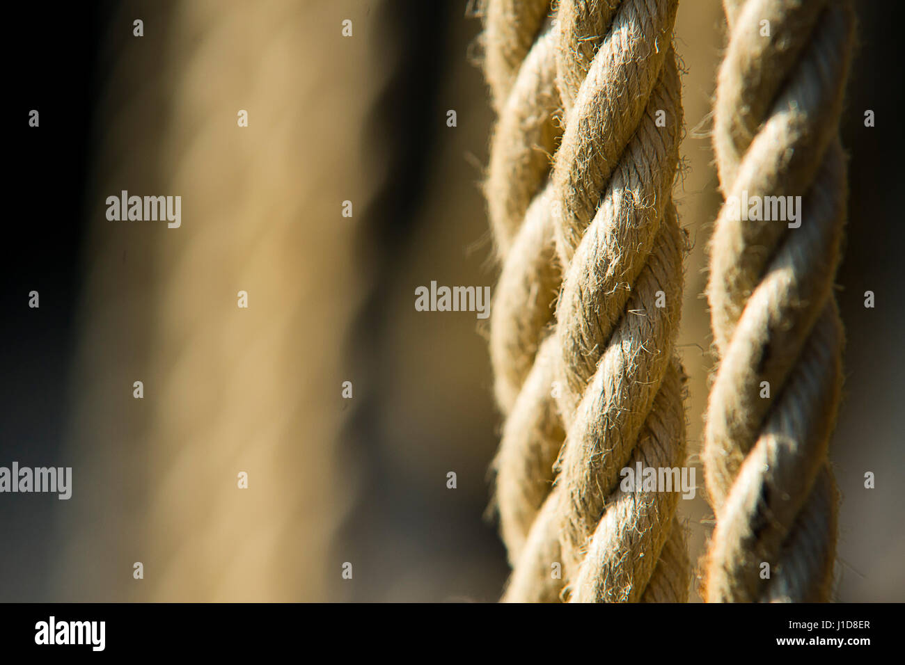 Collection of abstract rope pictures showing various ropes and ...